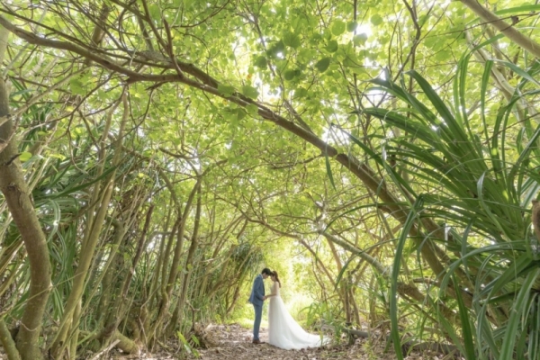 99e7d9645ab19bb1b2ded411d4fea05c-thumb