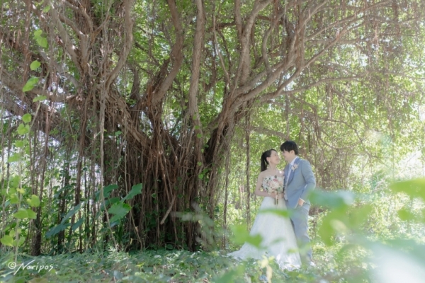 fcd3b01c5d90e6c9d549dda761d89bb4-thumb