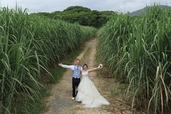 【石垣島・40代からのフォトウェディング・直前予約OK・一日一組限定・Photographer中西康治】厳選50カットデータ渡し